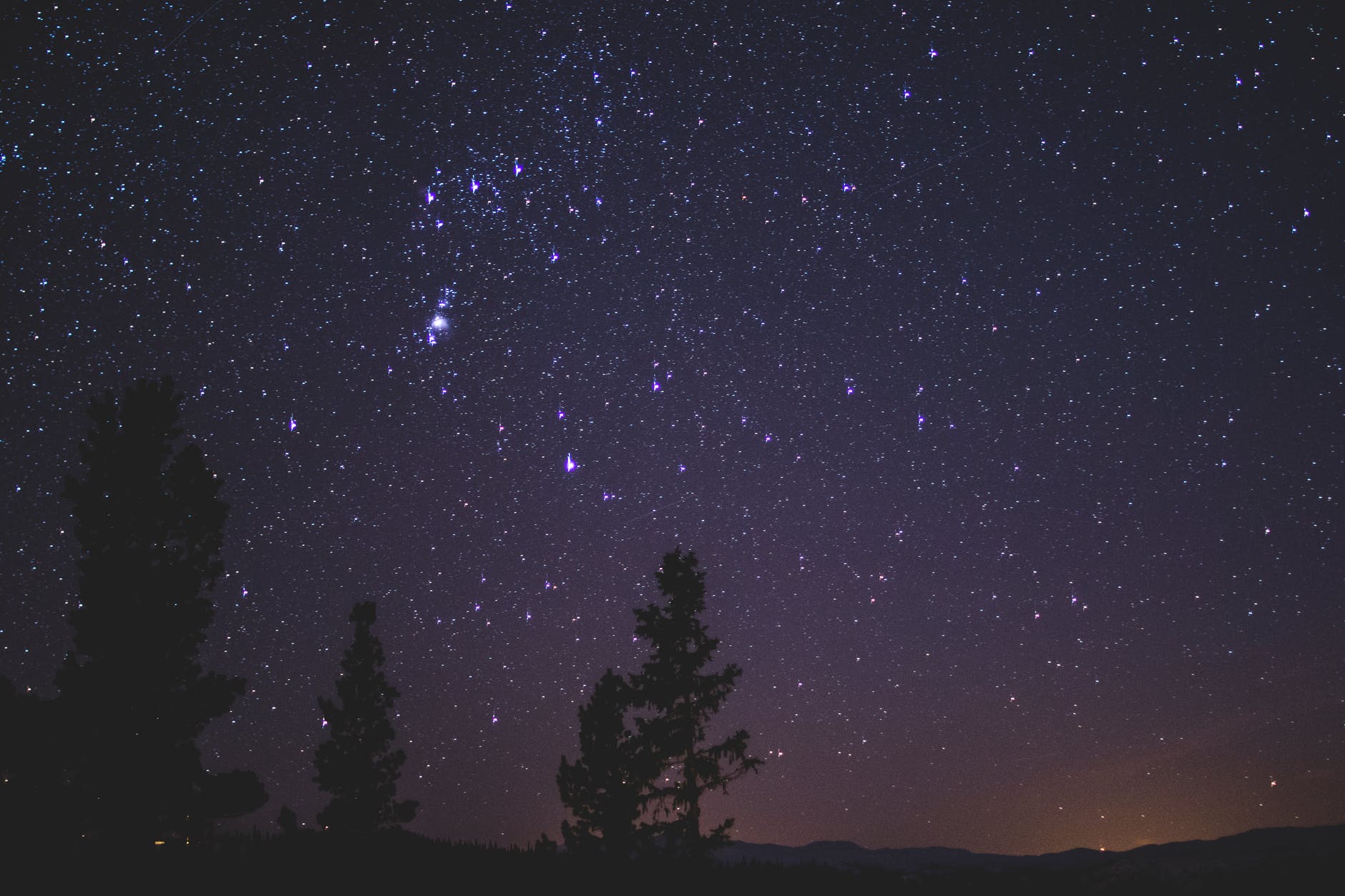 silhouette of trees during night time